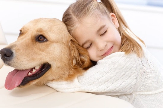 Criteria Validate Palliative Care in Pet Products