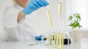 cbd manufacturing process explained